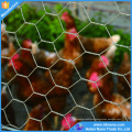 galvanized hexagonal wire mesh/ chicken wire / PVC coated chicken fence